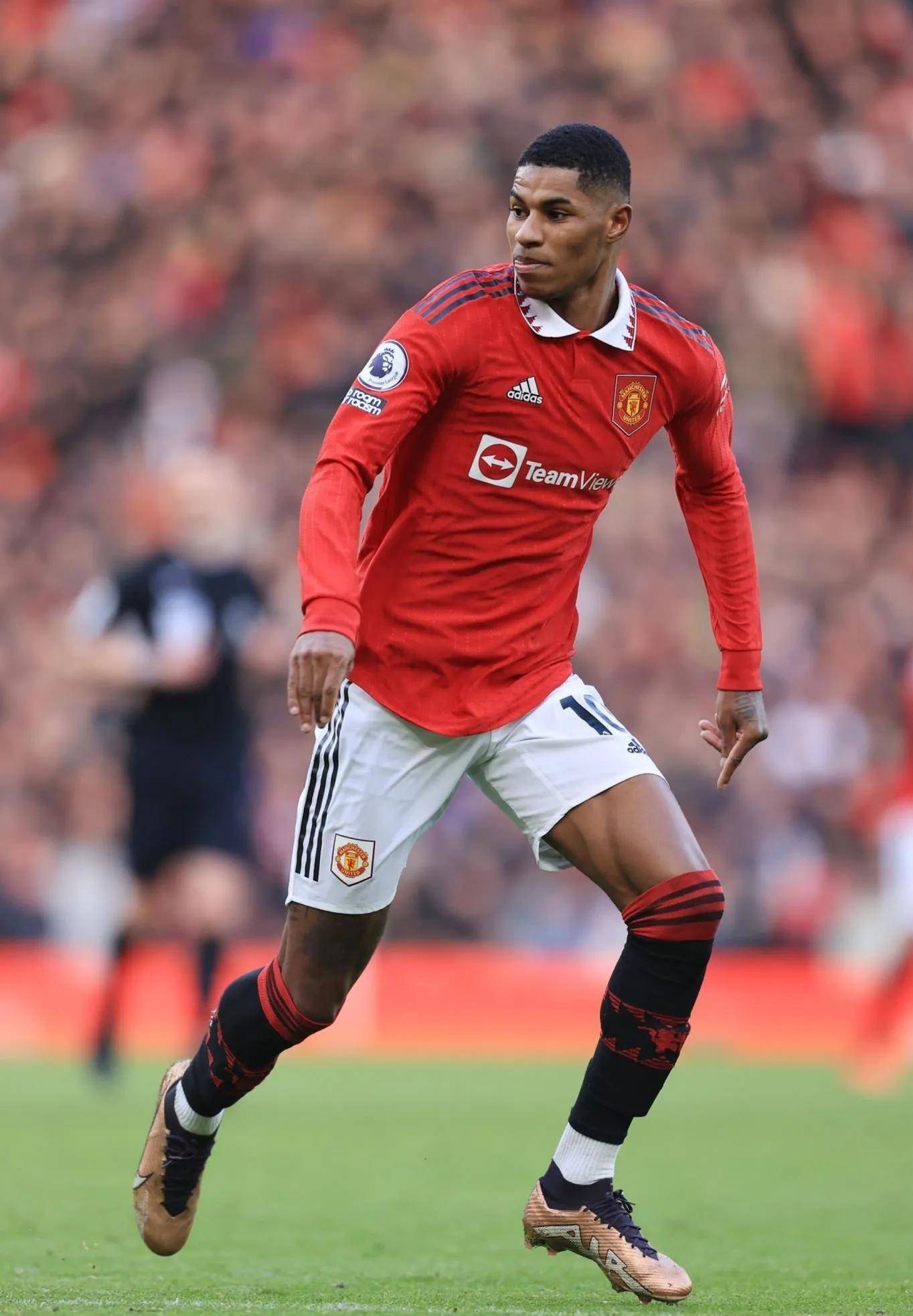 析的角度 析的角度